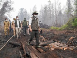 Menhut Prihatin Satwa Terdampak Karhutla: Mereka Tak Bisa Minta Tolong