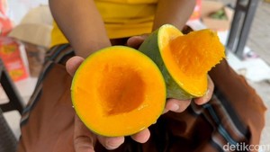 Video: Berkah Kemarau, Petani Mangga Alpukat Pasuruan Meraup Rp5 Juta