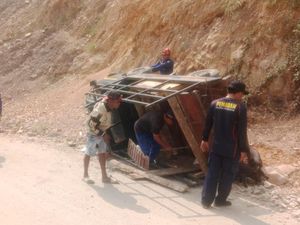 Mobil Pikap Angkut Anak Babi Terbalik di Palopo, 8 Ekor Hilang
