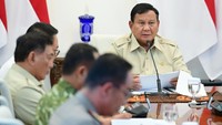 Prabowo Perintahkan Karhutla di Tanjung Puting Jadi Perhatian Khusus