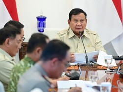 Prabowo Perintahkan Karhutla di Tanjung Puting Jadi Perhatian Khusus