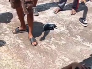Detik-detik Maling Modus Beli Mangga Dihajar Massa di Semanu