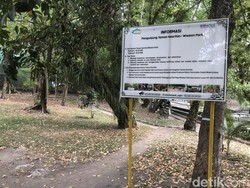 UGM Buka Suara Soal Nongkrong di Wisdom Park Kini Kena Biaya