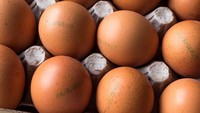 Apa Beda Telur dengan Label Cage-Free, Free-Range, dan Pasture-Raised?