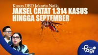 Kasus DBD Jakarta Naik, Jaksel Catat 1.314 Kasus hingga September
