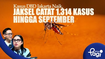 Alarm Waspada Demam Berdarah di Ibu Kota: Seribu Lebih Warga Jakarta Selatan Terinfeksi Dengue