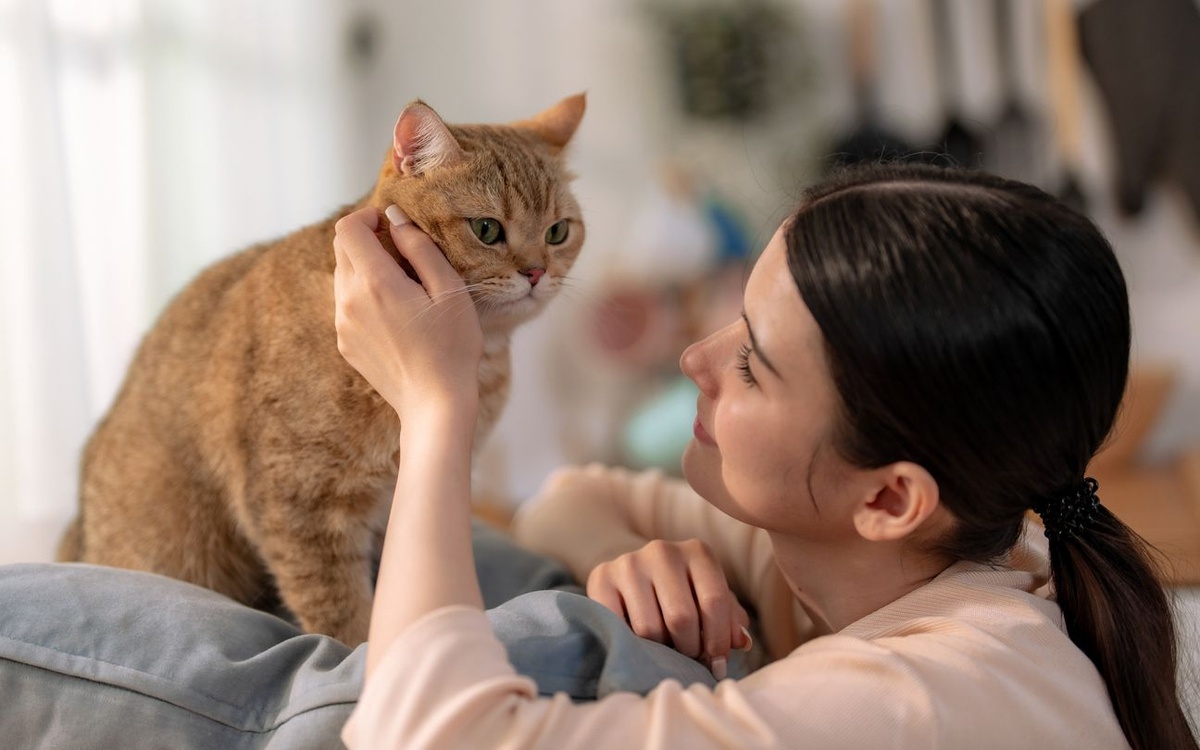 Benarkah Kucing Punya Hormon yang Bikin Mood Kita Ikut Berubah?