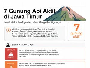Infografis: 7 Gunung Api Aktif di Jatim dan Statusnya