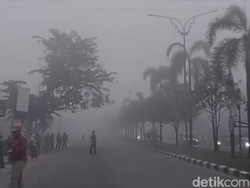 Pekanbaru-Pelalawan Diselimut Asap Tebal, Jarak Pandang Terbatas