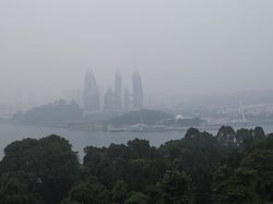 Kabut Asap Imbas Karhutla RI Picu Status Siaga Tertinggi di Asia Tenggara