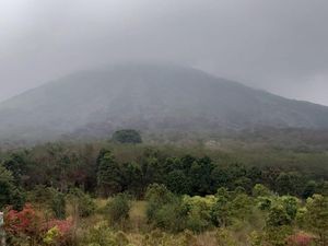 Kebakaran Cagar Alam di Gunung Lokon gegara ODGJ Bakar Lahan