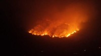 300 Hektare Lahan Cagar Alam di Gunung Lokon Tomohon Terbakar