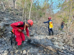 Kebakaran di TN Babul Pangkep Hanguskan Habitat Satwa Endemik