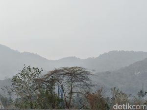 Udara di Gorontalo Tak Sehat Imbas Karhutla Kalimantan-Papua