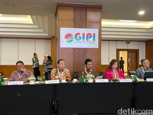Penerbangan Domestik Masih Tertekan, GIPI Soroti Harga Tiket Pesawat Mahal