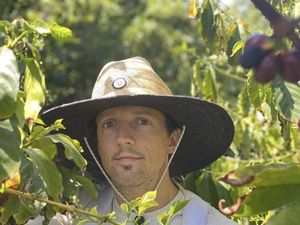 Jason Mraz Punya Kebun Hampir 7 Hektar, Tanam Alpukat hingga Kopi