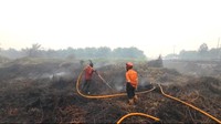 Bareskrim Tetapkan 9 Korporasi Jadi Tersangka Kasus Karhutla di Kalimantan