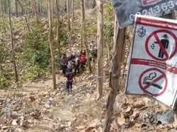 Kebakaran di Hutan Jati Banyumas Tewaskan Lansia 72 Tahun