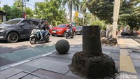 Demi Pemeliharaan, Dua Pohon Palm di Asia Afrika Bandung Ditebang