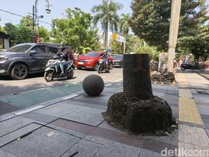 Demi Pemeliharaan, Dua Pohon Palm di Asia Afrika Bandung Ditebang