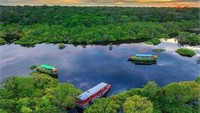 Taman Nasional Tanjung Puting, Rumah Flora Fauna Langka yang Sedang Terbakar
