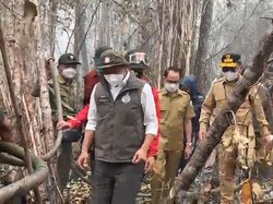 Walkot Palangka Raya Minta Banpres Karhutla Lewat Menhut: Banyak Berdoa