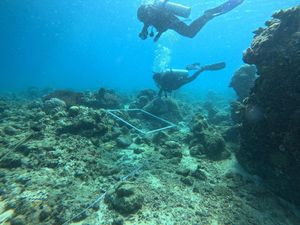 Estuaria Indonesia Siapkan 5.000 Media Tanam Karang di Majene