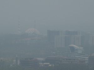 Mencekam! IKN Ditelan Asap Kebakaran Hutan, Istana Garuda Menghilang