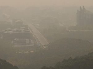 IKN Ditelan Asap Karhutla, Aktivitas Kerja Berjalan Normal