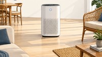 Infografis: Air Purifier Paling Efektif Diletakkan Di Mana? Ini Saran Ahli