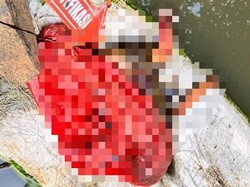 Buruh Singkong Temukan Jasad Bayi Mengambang di Sungai Terusan Lampung