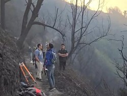 6 Orang Terjebak Karhutla Bromo, 3 Tewas-3 Alami Luka Bakar