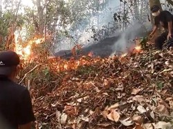 Karhutla di Anreapi Polman 7 Jam Dipadamkan Pakai Ranting Kayu