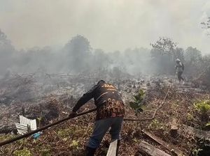 Kotim Perpanjang Tanggap Darurat Karhutla, Ini Beberapa Pertimbangannya