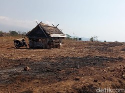 Kemarau Berkepanjangan, Petani di Lombok Timur Terpaksa Tunda Musim Tanam