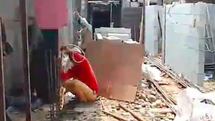 Viral Pasutri Lansia di Jaktim 'Terkurung' gegara Akses Ditutup Tetangga