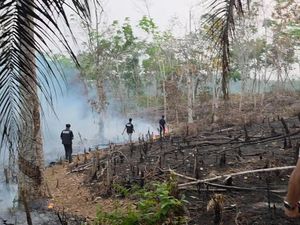 Bakar Lahan Satu Hektare untuk Tanam Sawit, Petani di Lubuklinggau Ditangkap