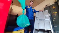 Damkar Ciamis Ungkap Lokasi Pelepasliaran Ular Hasil Evakuasi