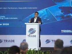 Produksi Ikan RI Melimpah, tapi Nilai Perdagangannya Masih Rendah