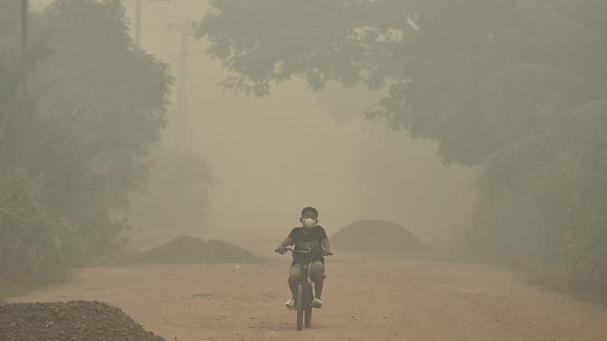 Jangan Jadikan Kebakaran Hutan Bencana Rutin
