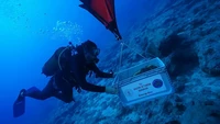 Bangkai Kapal Tertua di Dunia Ditemukan, Umurnya 4.700 Tahun