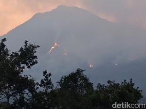 Kebakaran Gunung Arjuno-Welirang Terus Meluas ke-11 Titik