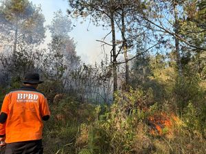 Kebakaran Hutan Lereng Lawu Karanganyar Meluas, Dekati Jalur Pendakian
