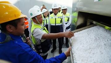 Menperin Sarmuji Apresiasi Petrokimia Gresik Kembangkan Teknologi CCU