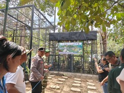15 Jalak Bali Dilepasliarkan di Tabanan