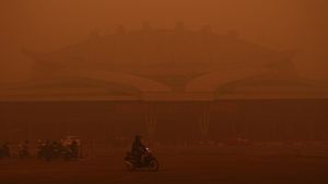 Bingkai Sepekan : Asap Karhutla Masih Bayangi Indonesia dan Negara Tetangga