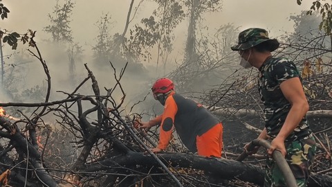 https://akcdn.detik.net.id/community/media/visual/2026/10/16/satgas-karhutla-upayakan-padamkan-dan-pendinginan-di-lahan-tahura-1792159479627_169.png?w=480&q=90