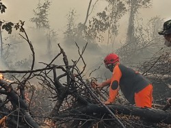 Al Haris Perkuat Penanganan Karhutla di Tahura, Kini Proses Pendinginan