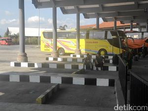Terminal Mengwi Lebih Lengang, Bus Molor hingga 4 Jam