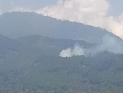 Hari Kedua, Kebakaran Hutan di Pandesari Pujon Malang Belum Padam